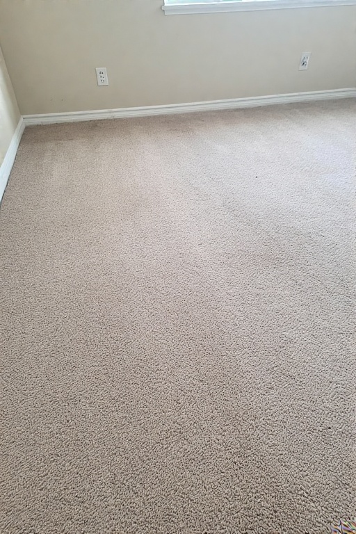 Carpet Cleaning portrait