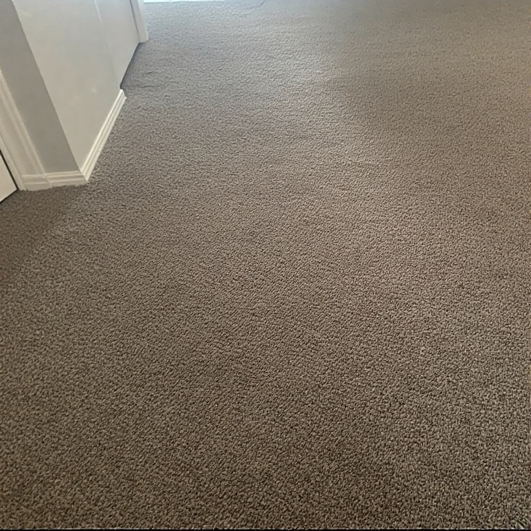 Carpet Cleaning square 2