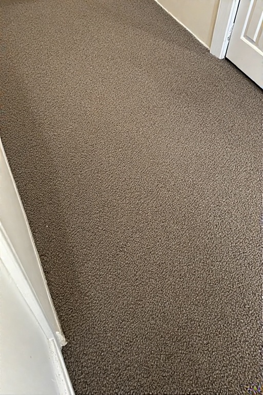 Carpet Cleaning