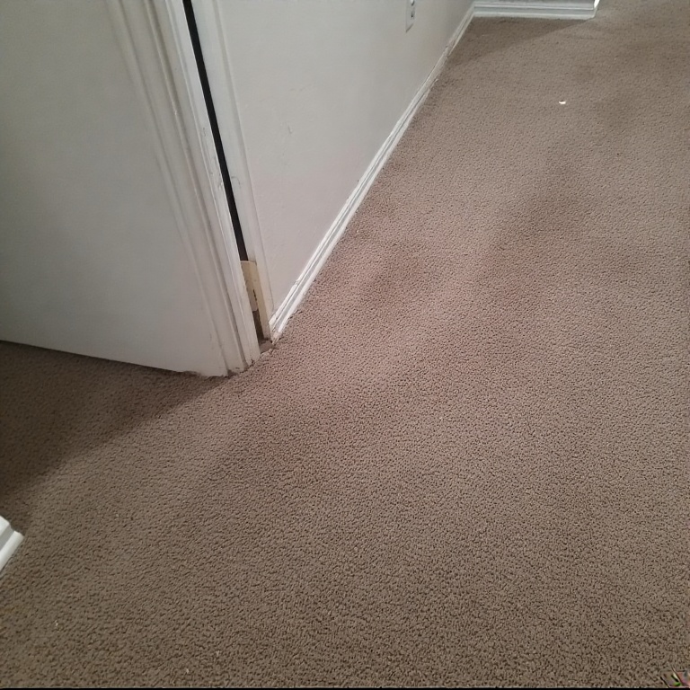 Carpet-Cleaning-square-3 Contact